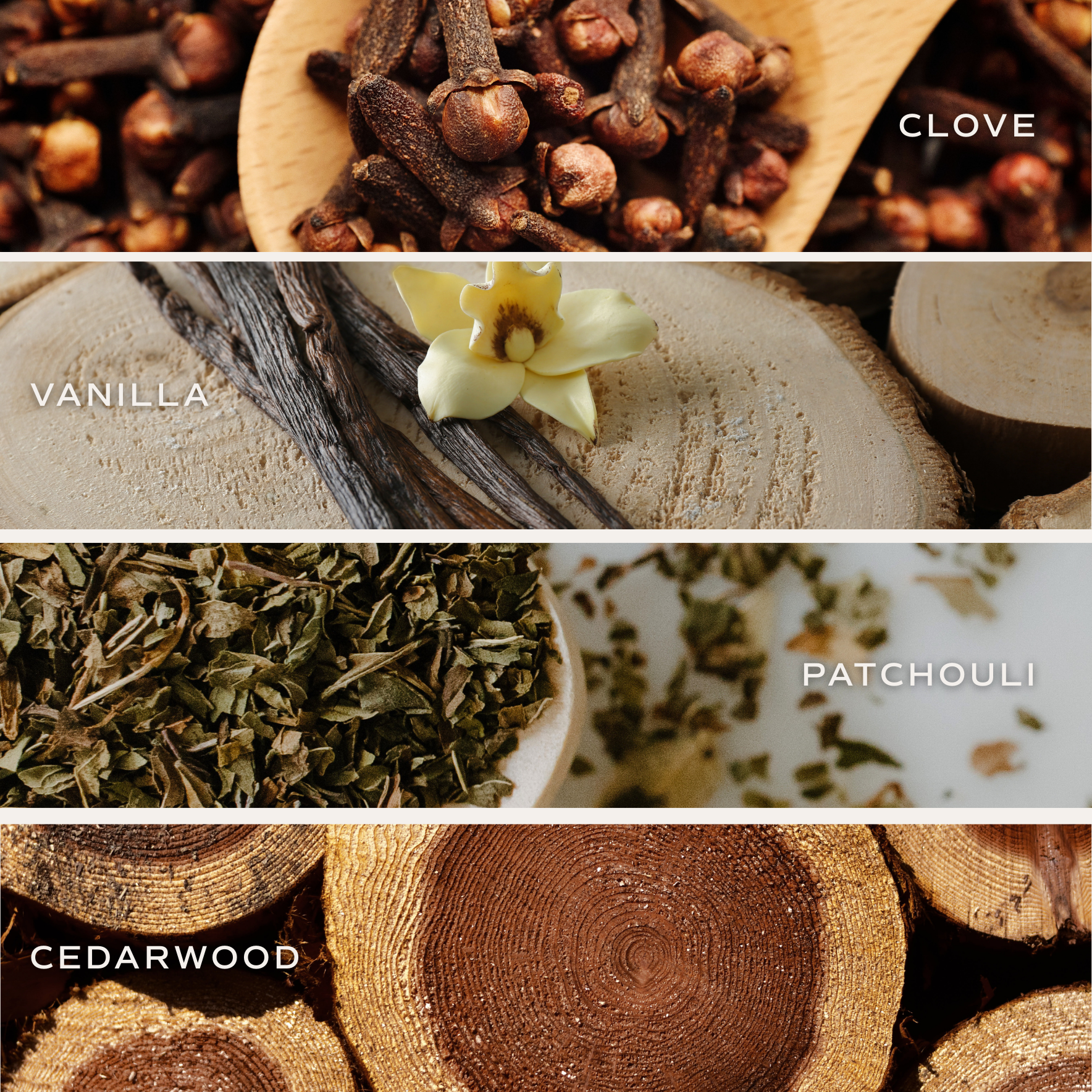 Palo Santo Patchouli 11 oz Soy Candle