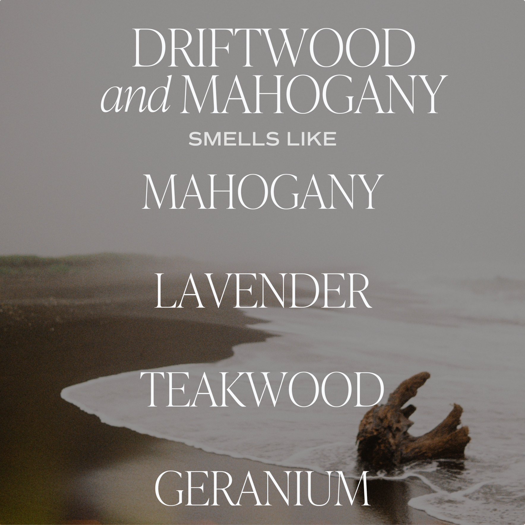Driftwood and Mahogany 11 oz Soy Candle