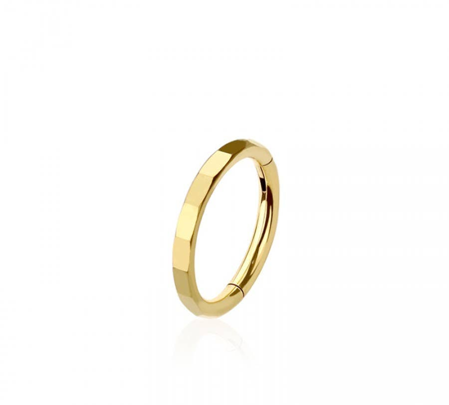 316L SURGICAL STEEL CUT FACETED HINGED SEGMENT HOOP RING