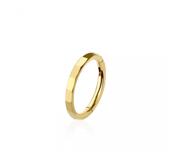 316L SURGICAL STEEL CUT FACETED HINGED SEGMENT HOOP RING