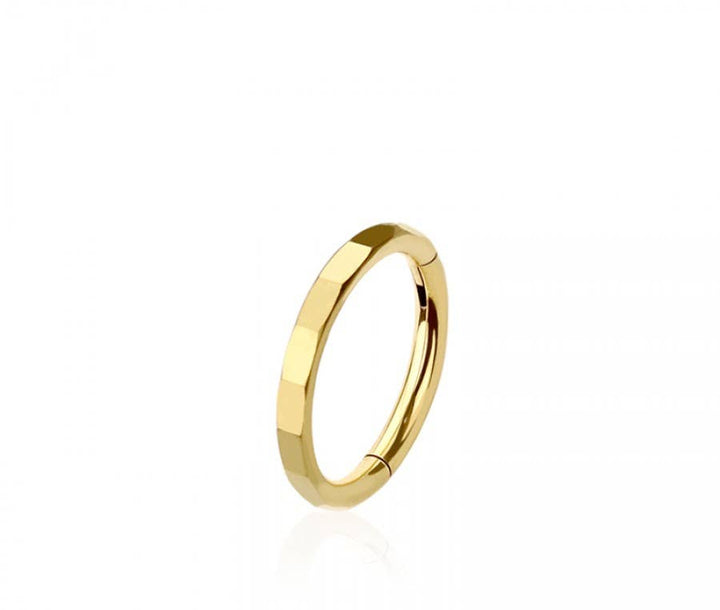 316L SURGICAL STEEL CUT FACETED HINGED SEGMENT HOOP RING
