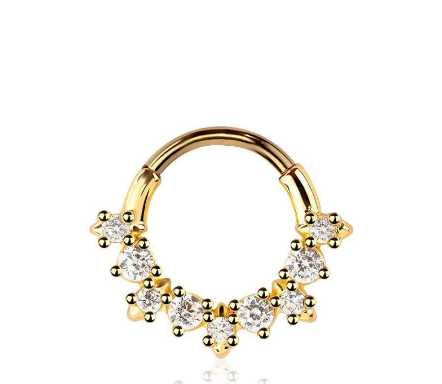 316L SURGICAL STEEL MULTI ROUND CZ SEPTUM HINGED SEGMENT