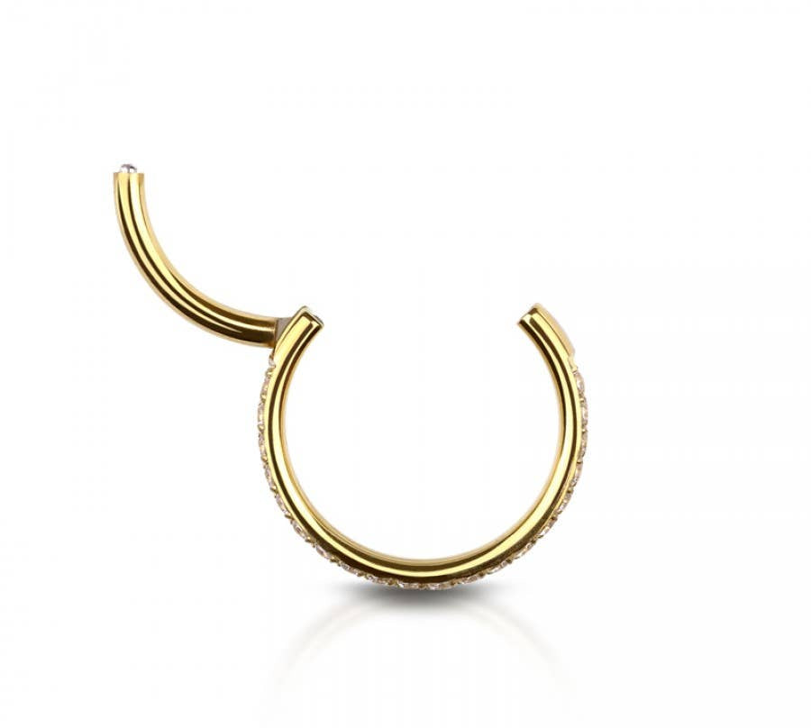 GEM CZ 2 ROW DOUBLE 316L SS HINGED SEGMENT HOOP RINGS