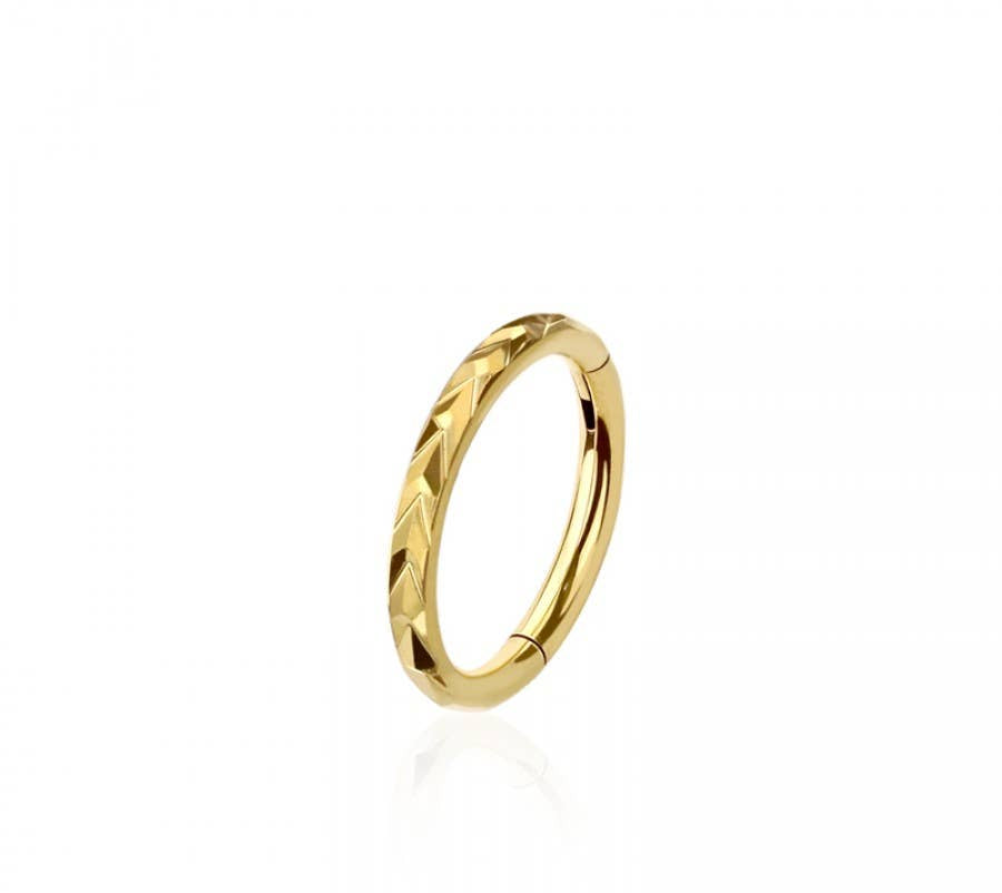 316L SURGICAL STEEL SWIRL LINES HINGED SEGMENT HOOP RING