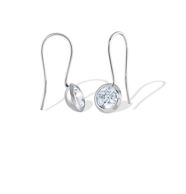 S.Steel Drop Lever Earrings