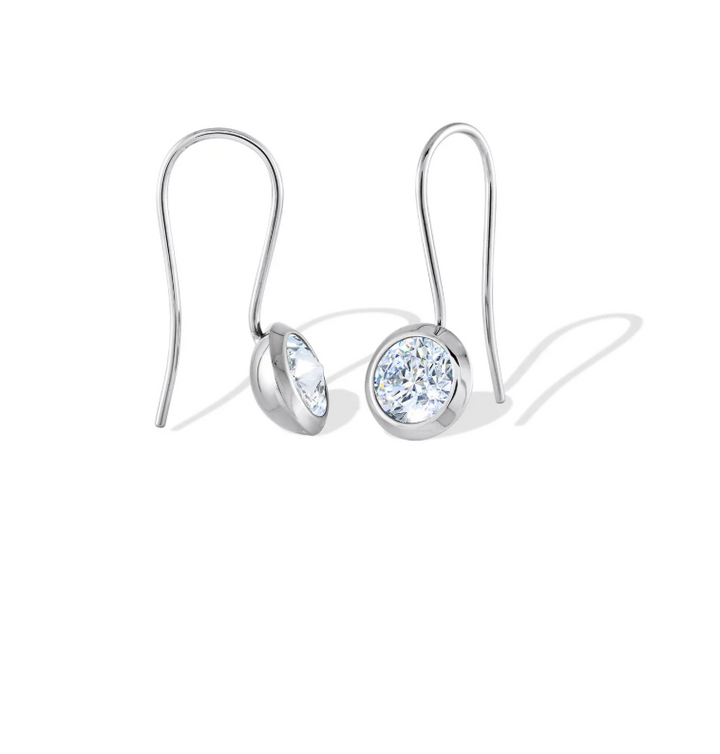 S.Steel Drop Lever Earrings