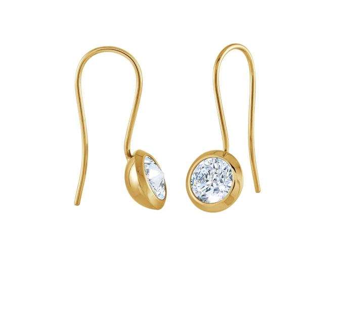 S.Steel Drop Lever Earrings