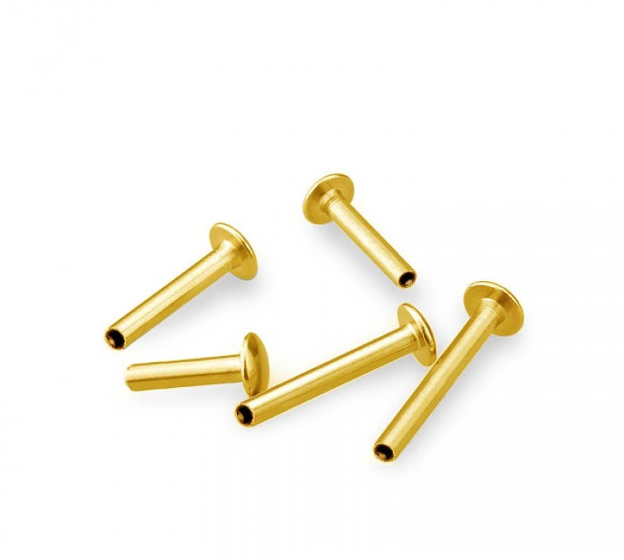 GOLD PLATED 316L SS THREADLESS PUSH IN LABRET FLAT