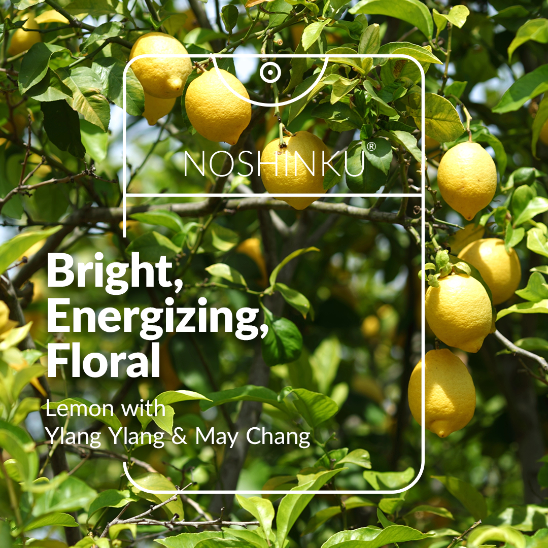 Lemon Ylang-Ylang Moisturizing Pocket Sanitizer | Refillable