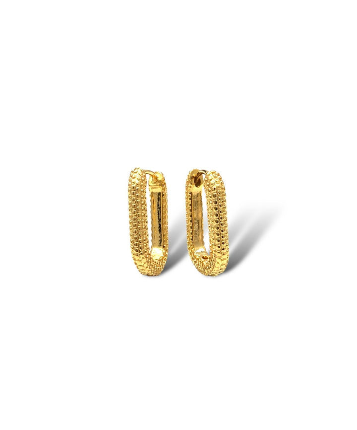 Taylor Oval Hoop Earrings