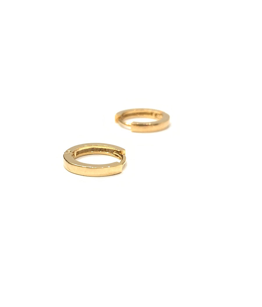 Penelope Petite Hoop Earrings