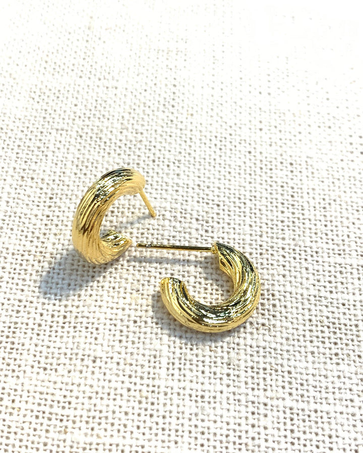 Olivia small textured hoop earring